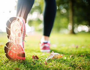 Joints & Muscles