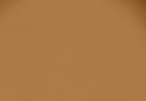 Resene Swiss Caramel