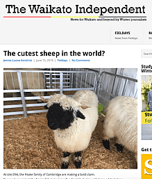Waikato Independent