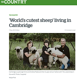 NZ Herald