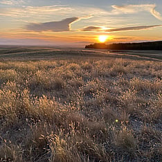 Scenic landscape at sunset over open grassland, representing forward-looking vision and inspiration