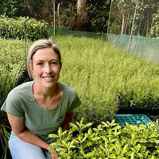 Order affordable, quality native plants by The Native Dairy Farmer for your restoration projects. Waikato, Waipa, King Country, New Zealand
