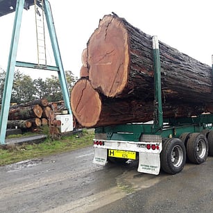 Redwood timber