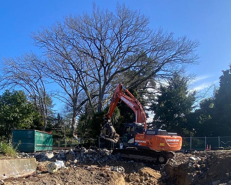 Excavator clearing a section among mature trees