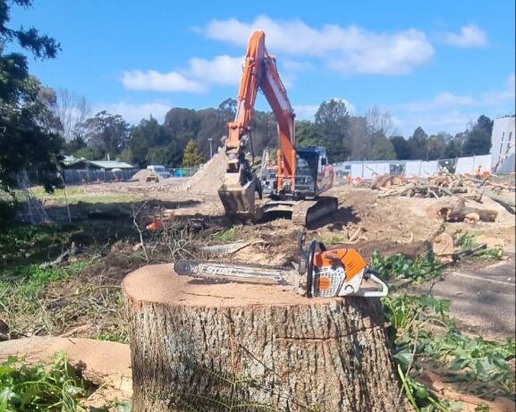Excavator on a site clearance with a large tree stump in front