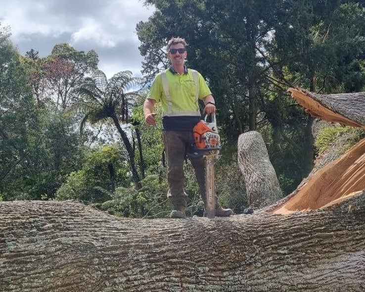 Worker standing on a large felled tree trunk during a site clearance