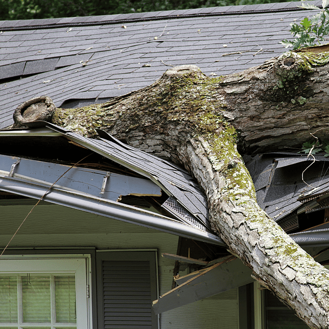 Storm and impact damage from a tree that has fallen on a roof on a house in Rotorua