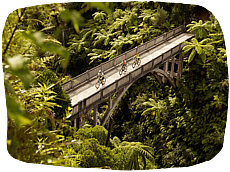 The Whanganui Rivers is enchanting, with a personality of its own.  Ride, canoe, jet boat, the potential is massive.