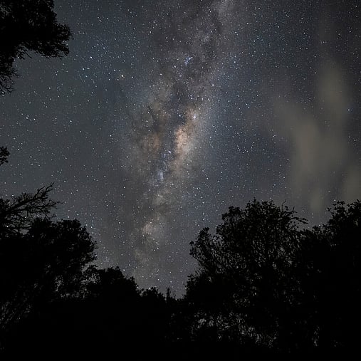 The Milky Way taken at night on the lake after returning from the glow worm cave tour