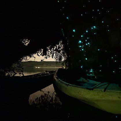 kayaks in a glow worm cave looking out to the lake