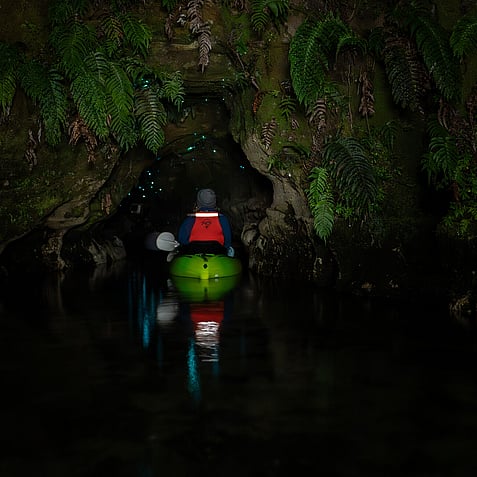 Kayaker entering glow worm cave in Rotorua surrounded by native forest and bioluminescent glow worms