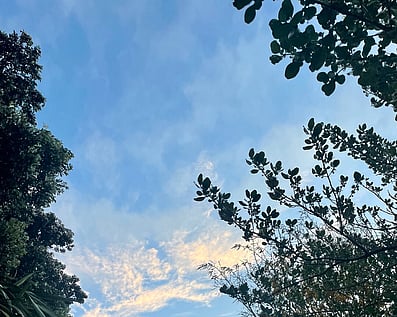 mental health coaching and ADHD coaching online