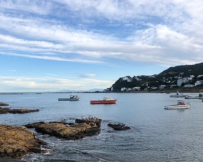 Walk and talk mental health coaching and ADHD coaching Wellington New Zealand