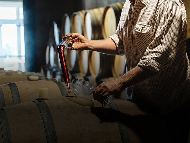 The Winegrower Luc Desbonnets