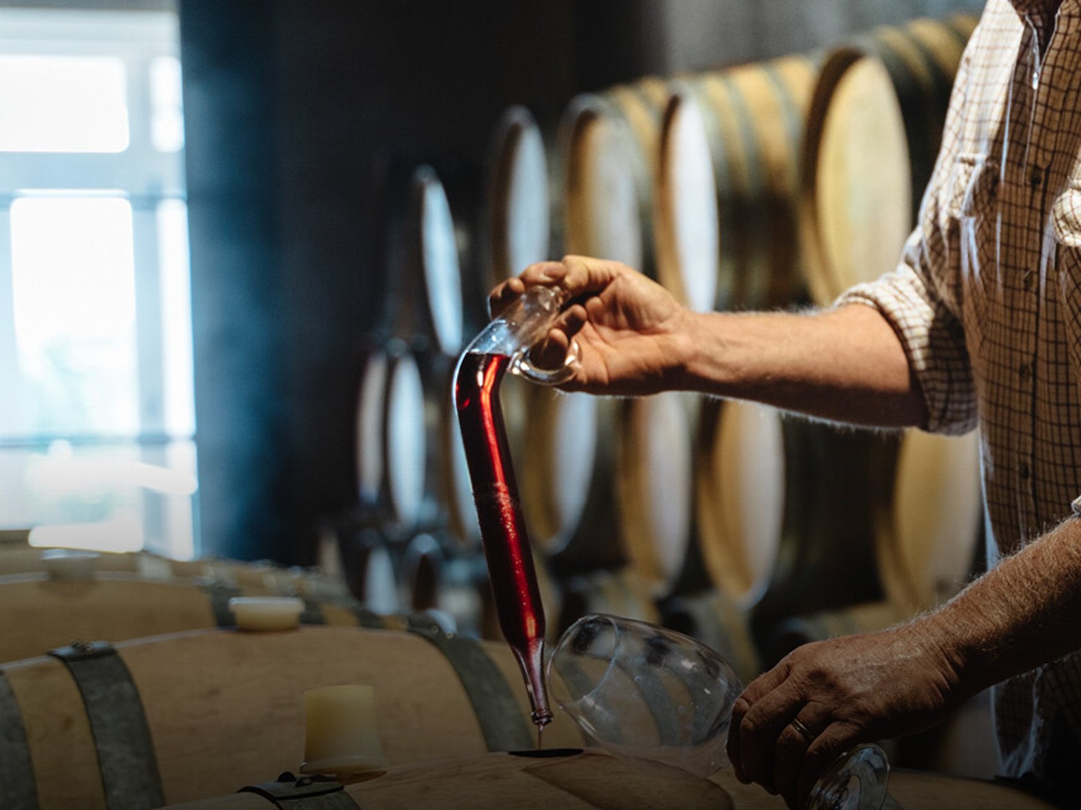 The Winegrower Luc Desbonnets