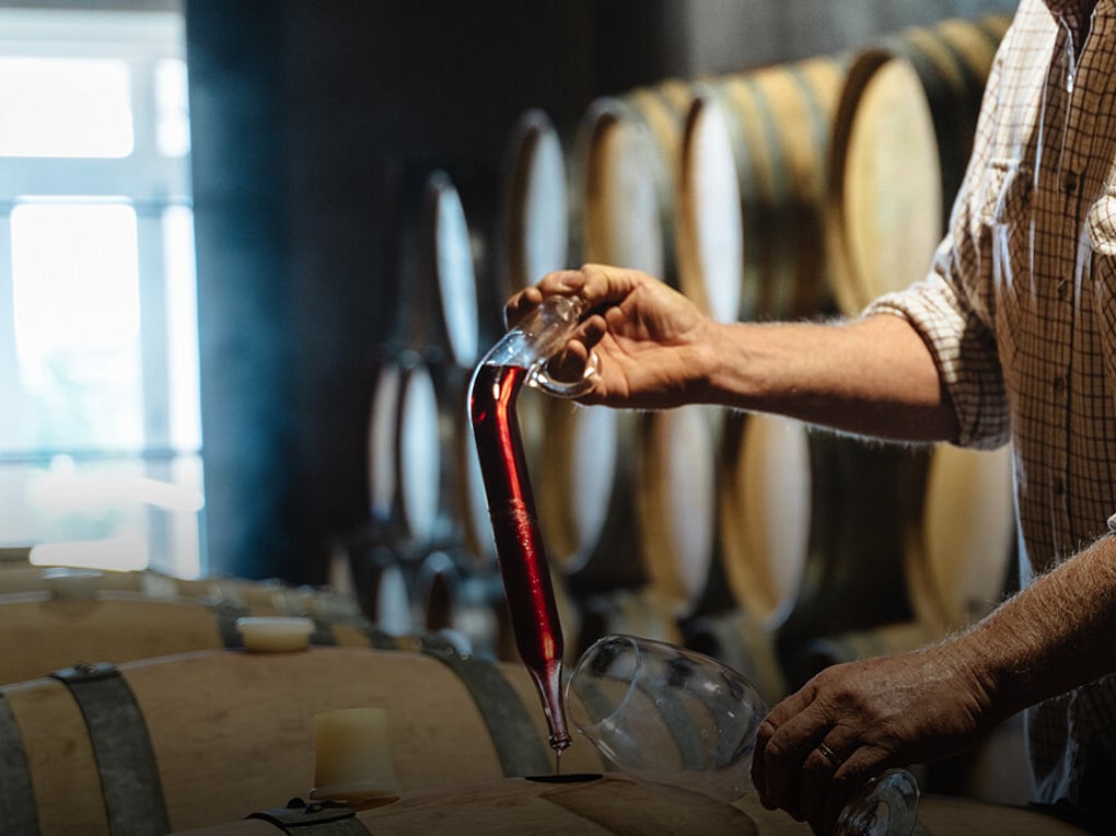 The Winegrower Luc Desbonnets