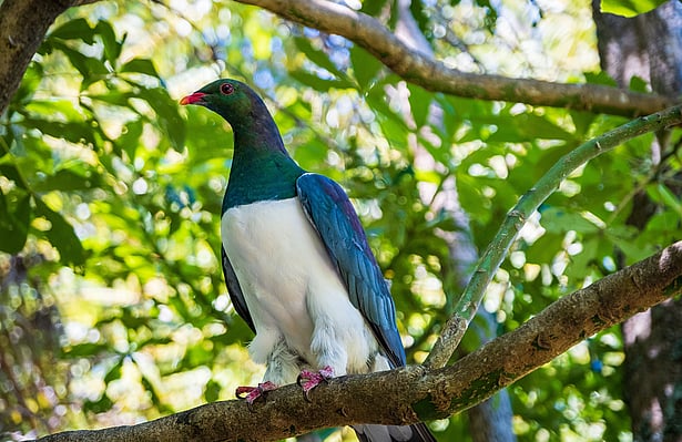 Environmental Management