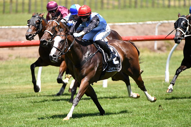 New Recruit won fresh-up at Tauranga on Thursday - Photo: Kenton Wright (Race Images)