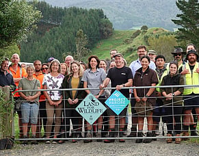 Project Parore &ndash; Caring for the Land, Restoring the Moana