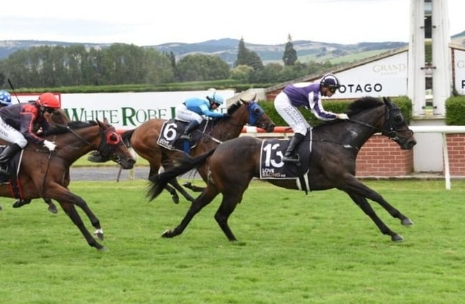 Witz End winning the Listed Property Brokers &ndash; Ray Kean Hazlett Stakes (1400m) at Wingatui on Saturday.   - Photo: Tayler Strong (Race Images)