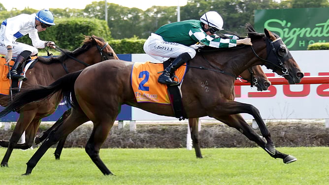 Ohope Wins taking out the Gr.2 David & Karyn Ellis Fillies Classic (2100m) at Te Rapa on Saturday.   - Photo: Kenton Wright (Race Images)