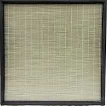 Phoenix GuardianR HEPA Filter