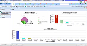 Software Costing Report - Click image to enlarge