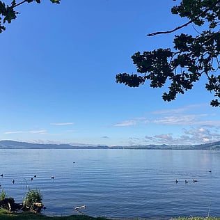 2026 TUI RIDGE