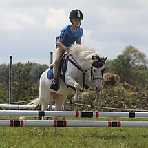 Equestrian