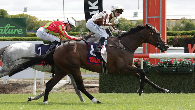Legarto winning the Gr.1 Herbie Dyke Stakes (2000m) at Te Rapa on Saturday.   - Photo: Kenton Wright (Race Images)