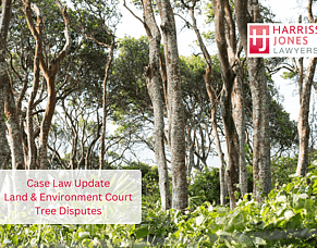 What a Recent Tree Dispute Case Tells NSW Property Owners