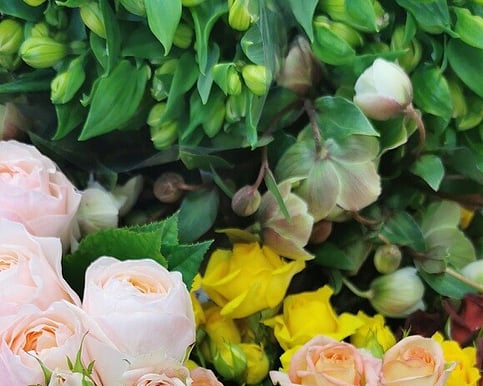 Petite Bouquet | Sweet Bundle | Little Blooms