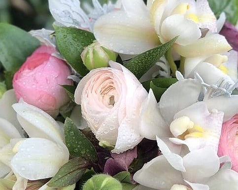 Soft Tones | Gentle Hues | Dreamy Shades