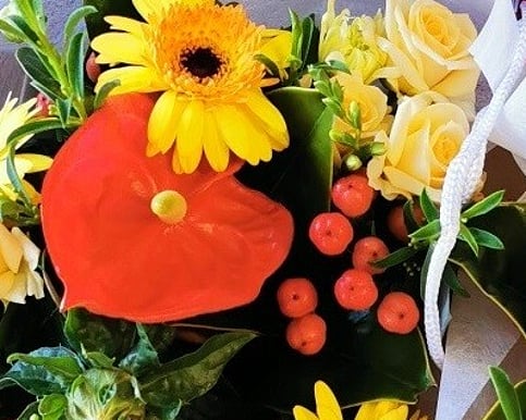 Vibrant Mix | Colour Burst | Sunshine Blooms