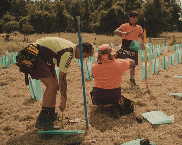 EXPERT PLANTING