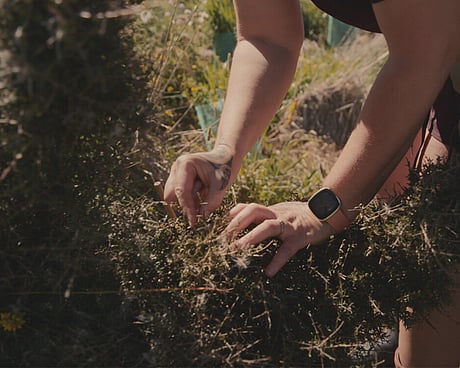Eco-sourcing