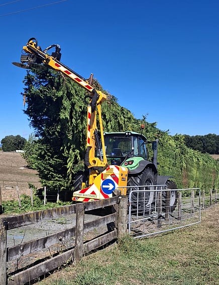 Shelterbelt & tree trimming in the Waikato by Harvey Hedgecutters