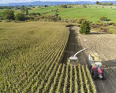 Craig Brown Photographer's image of a harvesting machine in a field