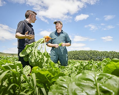 Craig Brown Photographer's image of two men in a field of vegetables