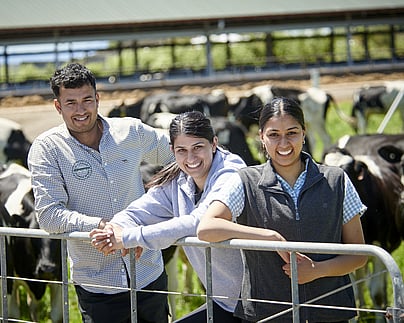 Craig Brown Photographer's image of three staff in a paddock with cows