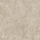 CONCERT BEIGE