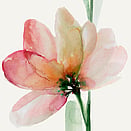 FLEUR