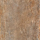 ASPEN