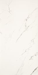 STATUARIO GRIGIO
