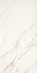 STATUARIO ORO