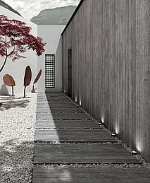 Cement Project