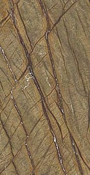 BROWN FOREST