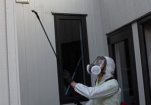 Insect Control Treatments