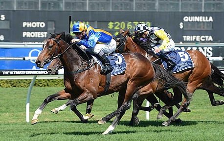 (It's A) Dundeel - winner of six Gr.1 races A regular visitor to Henley Park