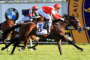 Mongolian Khan